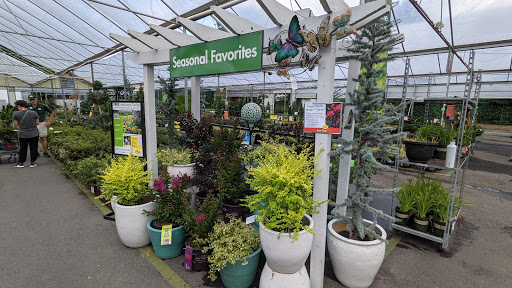 Garden Center «Pike Nurseries», reviews and photos, 6050 Bethelview Rd, Cumming, GA 30040, USA