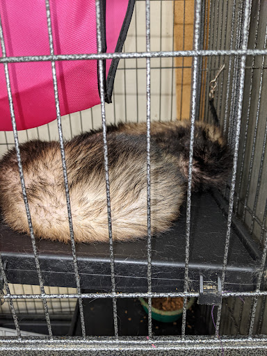 Pet Supply Store «Pet Supplies Plus», reviews and photos, 1155 Washington Pike, Bridgeville, PA 15017, USA