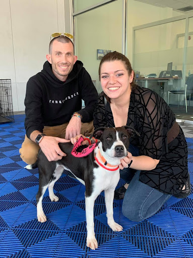 Subaru Dealer «Rafferty Subaru», reviews and photos, 4700 West Chester Pike, Newtown Square, PA 19073, USA