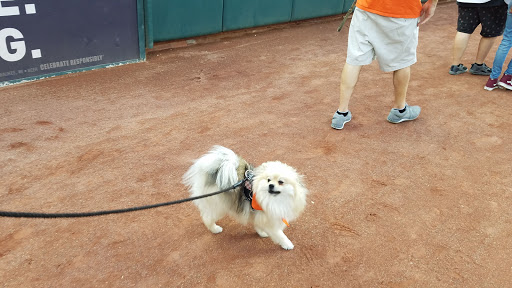 Baseball Field «Oriole Park at Camden Yards», reviews and photos, 333 W Camden St, Baltimore, MD 21201, USA