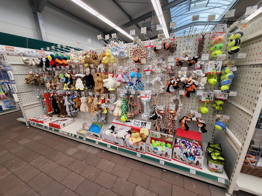 Landfuxx Heuchelheim unter Heuchelheim, 