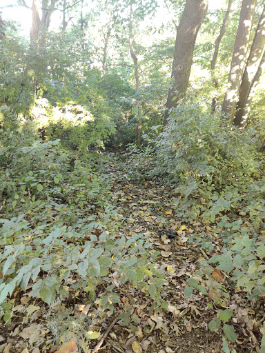 Park «Inwood Park», reviews and photos, 2308 Vine St, Cincinnati, OH 45219, USA