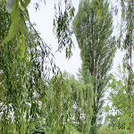 Photo n° 1 de l'avis de Katrien.e fait le 25/06/2022 à 18:34 pour Maison de Claude Monet à Giverny