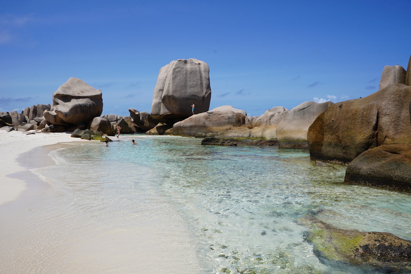 Foto di Spiaggia Anse Marron e il suo bellissimo paesaggio
