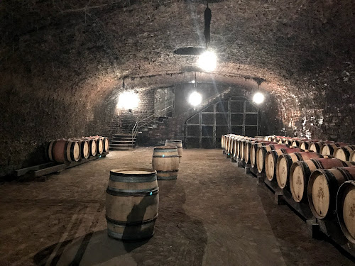 Domaine Fleurot Larose à Santenay