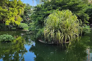 Kowloon Park Bird Lake image