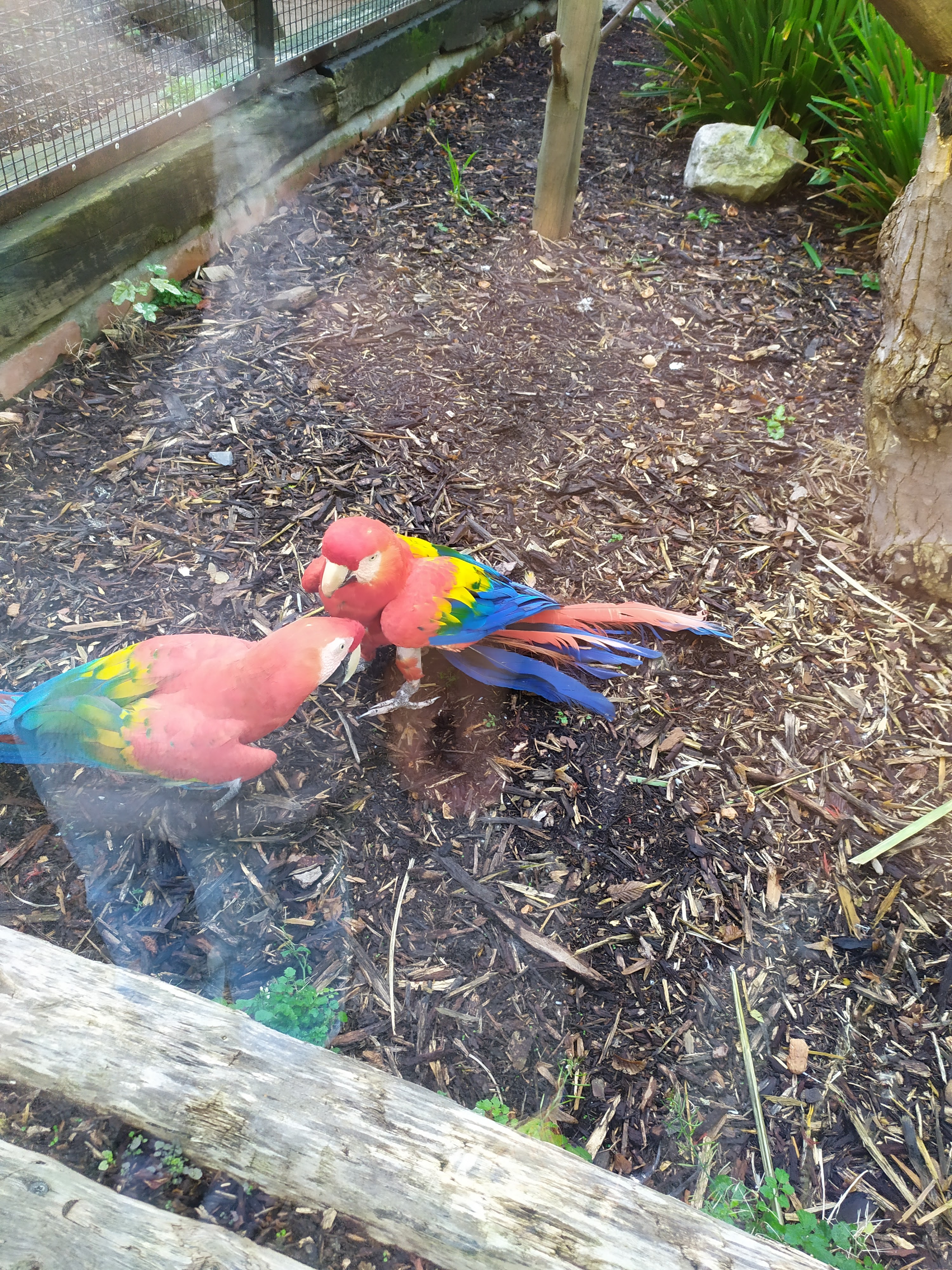 Photo n° 7 de l'avis de Boutebel.b fait le 16/10/2021 à 23:36