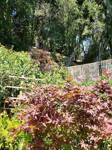 Garden Center «Ladera Garden & Gifts», reviews and photos, 3130 Alpine Rd #380, Portola Valley, CA 94028, USA