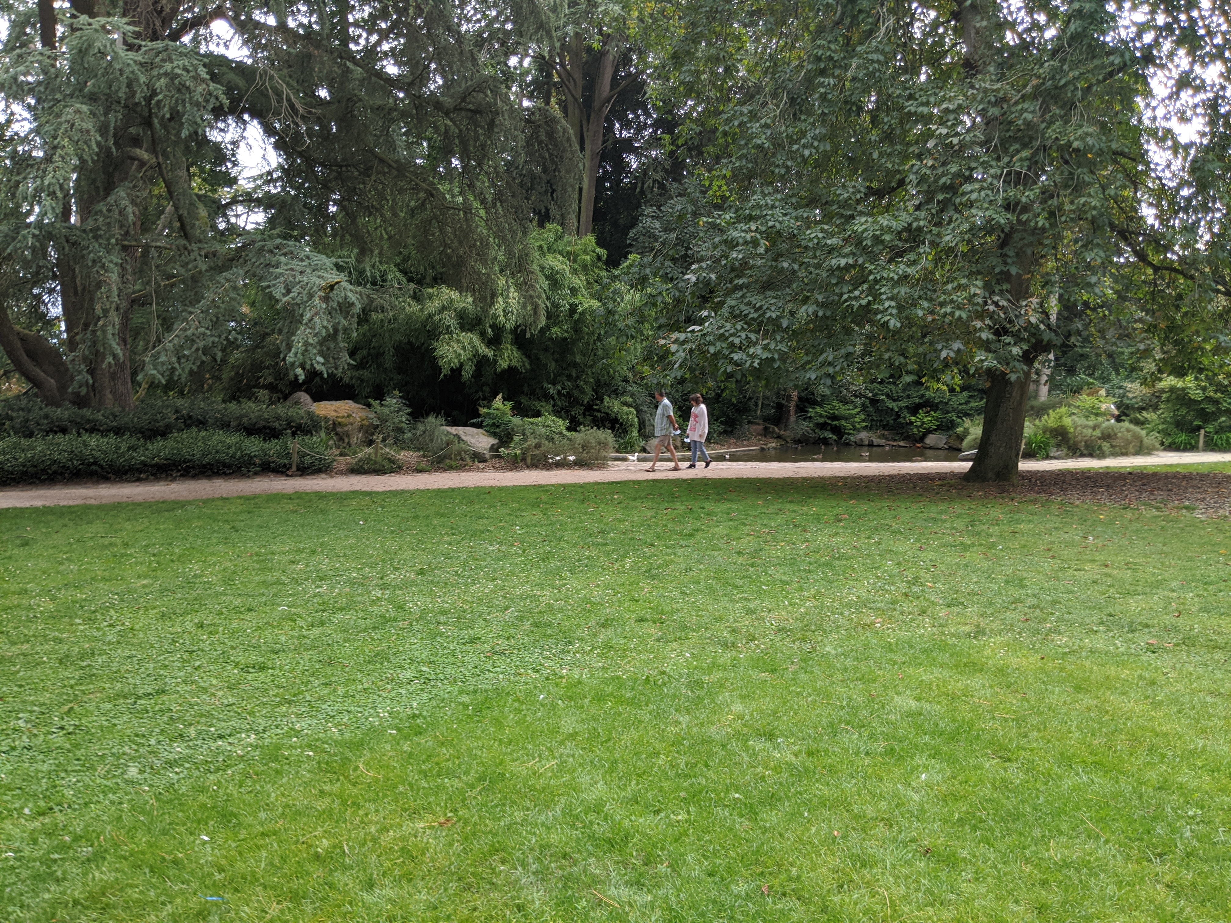 Photo n° 2 de l'avis de Darth.a fait le 13/08/2020 à 17:52