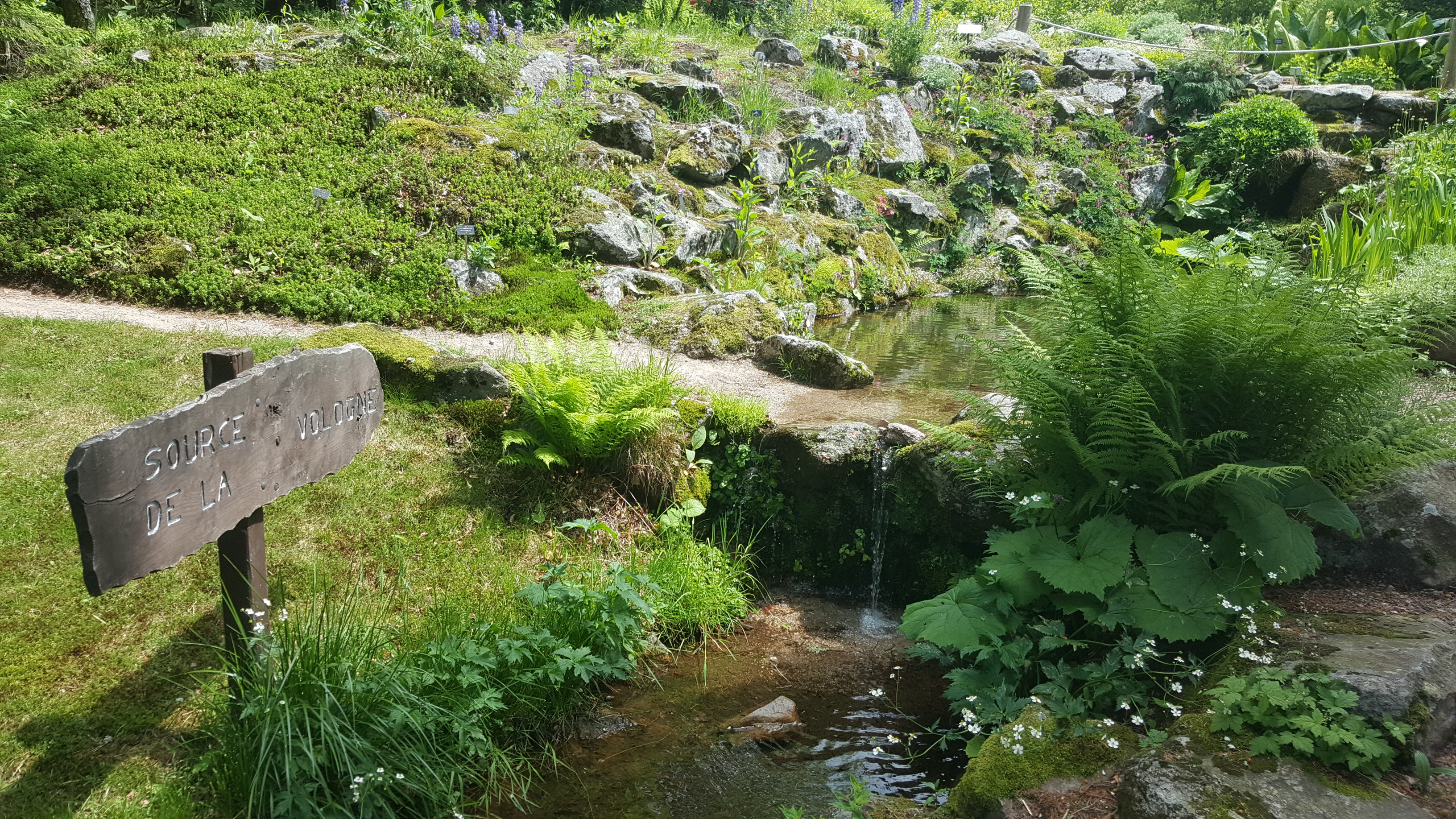 Photo n° 9 de l'avis de Jean-Sébastien.O fait le 23/06/2019 à 16:49