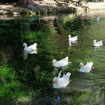 Photo n°5 de l'avis de Angelo.e fait le 14/09/2022 à 12:15 sur le  Parco del Grassano à San Salvatore Telesino