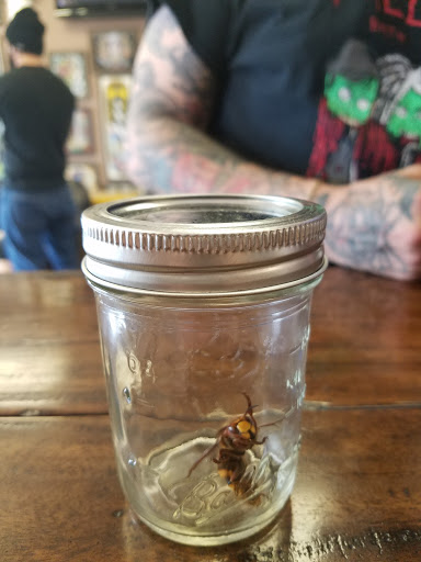 Tattoo Shop «Exposed Temptations Tattoo», reviews and photos, 8686 Liberia Ave, Manassas, VA 20110, USA