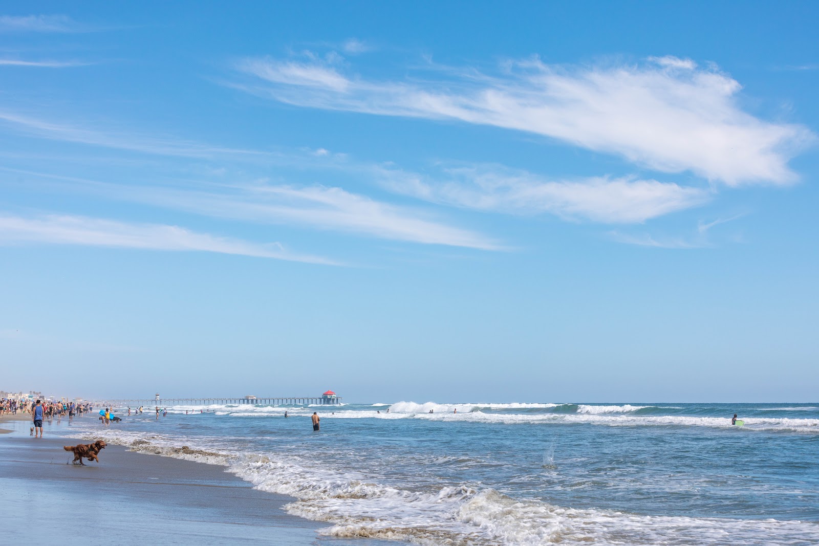 Fotografie cu Huntington Dog Beach zonele de facilități