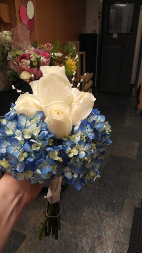 Grocery Store «Giant», reviews and photos, 4301 Concord Pike, Wilmington, DE 19803, USA