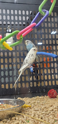 Pet Supply Store «PetSmart», reviews and photos, 2940 Chapel Hill Rd, Douglasville, GA 30135, USA