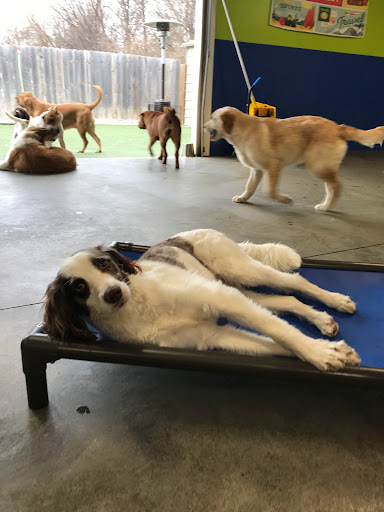 Pet Store «Happy, Clean and Smart», reviews and photos, 5700 W Kilgore Ave, Muncie, IN 47304, USA