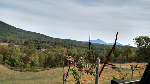 Winery «The Cottage Vineyard & Winery», reviews and photos, 5050 US-129, Cleveland, GA 30528, USA