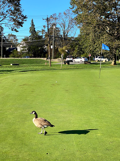 Golf Club «Longshore Golf Course», reviews and photos, 260 Compo Rd S, Westport, CT 06880, USA