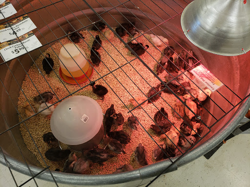 Animal Feed Store «Wilco Farm Store», reviews and photos, 2300 E Hancock St, Newberg, OR 97132, USA