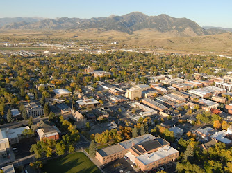 Downtown Bozeman Partnership