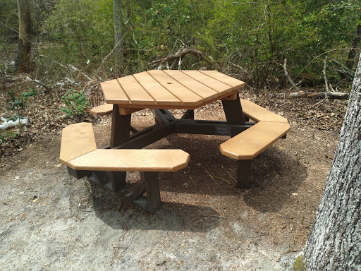 Nature Preserve «Maurice River Bluffs Preserve», reviews and photos, Silver Run Rd, Millville, NJ 08332, USA