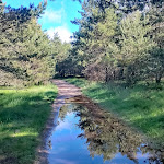 Photo n° 34 de l'avis de Bernard.a fait le 11/06/2023 à 06:37 pour Parking de Douch à Rosis