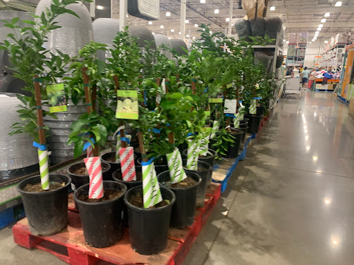 Warehouse store «Costco Wholesale», reviews and photos, 43621 Pacific Commons Blvd, Fremont, CA 94538, USA