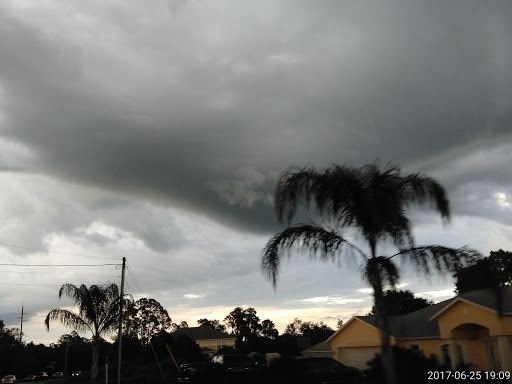 Grocery Store «Winn-Dixie», reviews and photos, 2880 Howland Blvd, Deltona, FL 32725, USA