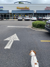 Hollywood Feed - Photo 8 - Car repair in Birmingham, AL, Birmingham