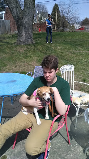 Pet Supply Store «Mutt Mart», reviews and photos, 2904 Hamilton Ave, Baltimore, MD 21214, USA