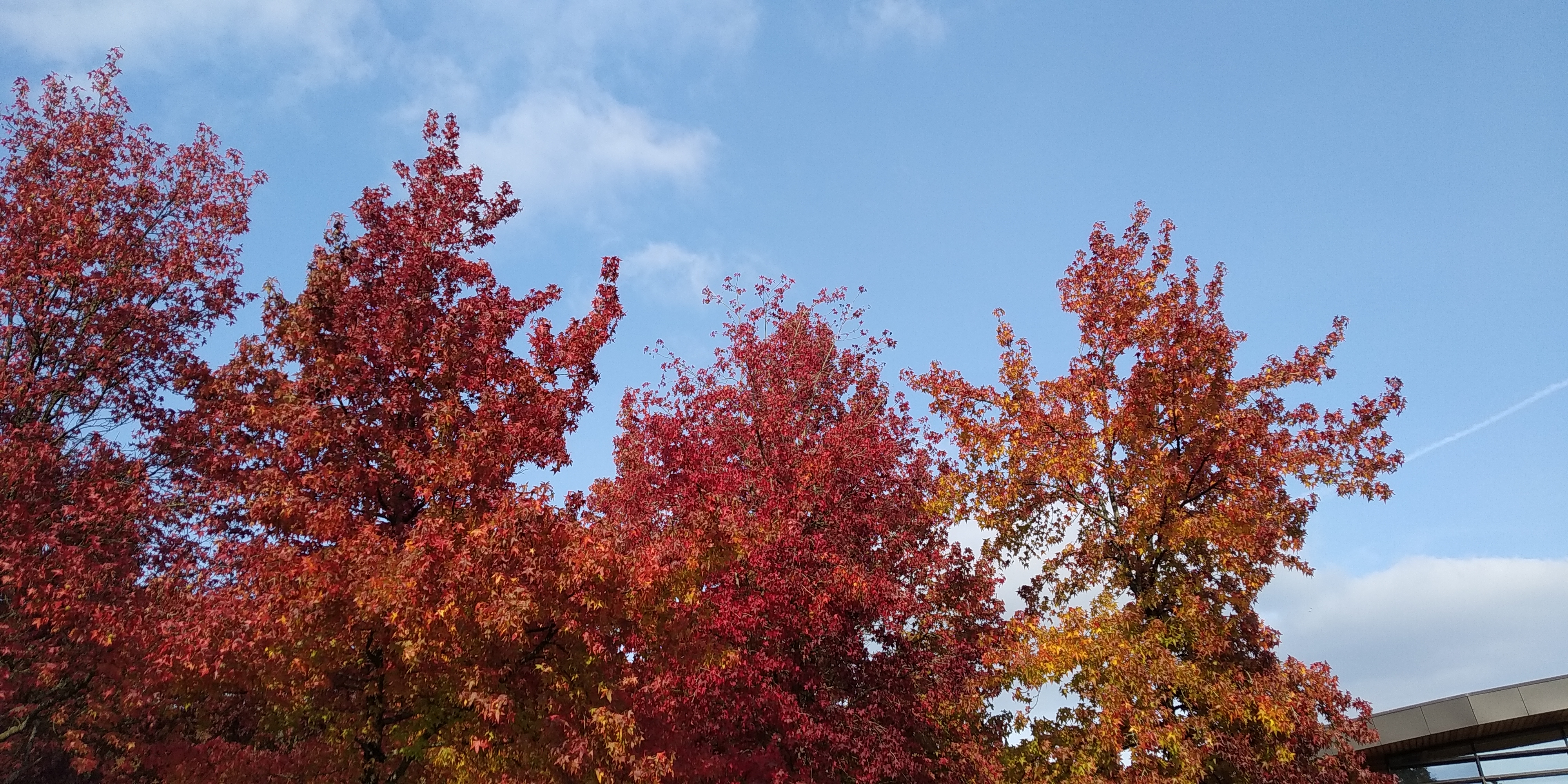 Photo n° 7 de l'avis de Flo.a fait le 18/10/2020 à 15:36