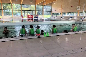 Zwembad de Watertuin image