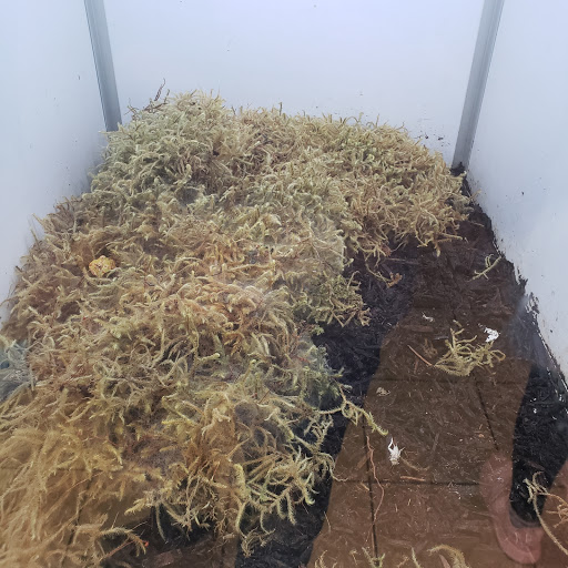 Pet Store «Planet Pet Shop», reviews and photos, 6624 Eastern Ave, Bell Gardens, CA 90201, USA