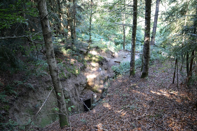 Photo n° 1 de l'avis de Gabby.u fait le 01/09/2020 à 17:27