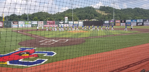 Baseball Club «Johnson City Cardinals», reviews and photos