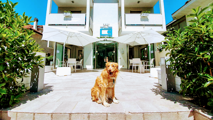 Photo hôtels The One Hotel 47838 Riccione