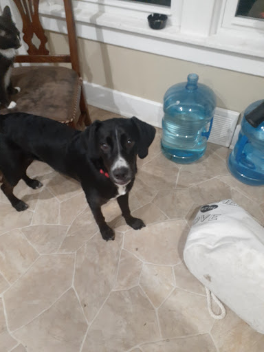 Pet Supply Store «Unleashed by Petco», reviews and photos, 1402 Wilshire Blvd, Santa Monica, CA 90403, USA