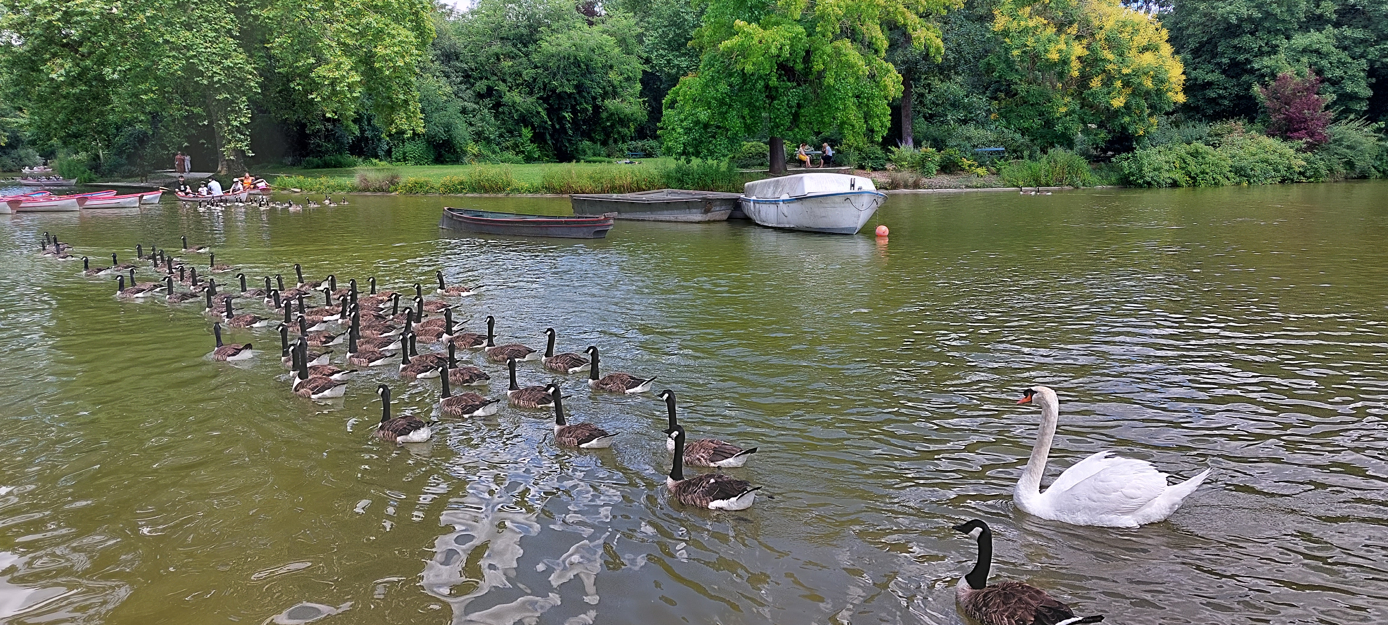Photo n° 3 de l'avis de Aziza.l fait le 03/07/2022 à 21:20