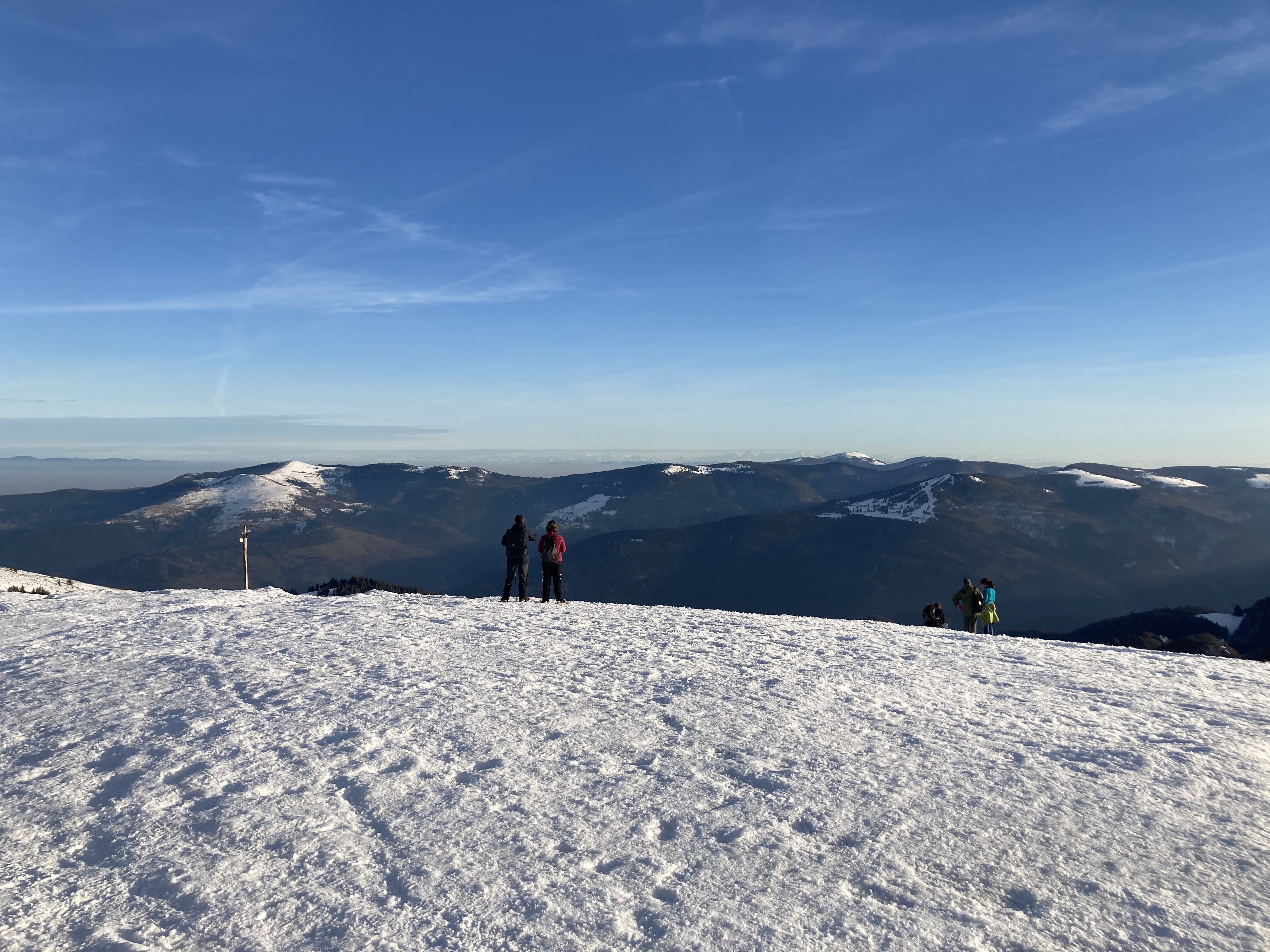 Photo n° 5 de l'avis de mathieu.e fait le 24/02/2023 à 17:09