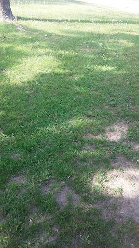 Golf Course «Tournament Club of Iowa», reviews and photos, 1000 Tradition Dr, Polk City, IA 50226, USA