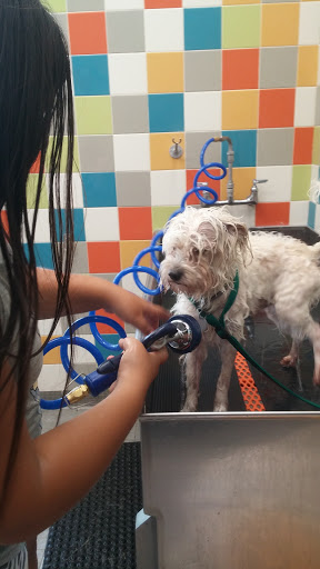 Pet Supply Store «Unleashed by Petco», reviews and photos, 475 E Avenida De Los Arboles a, Thousand Oaks, CA 91360, USA