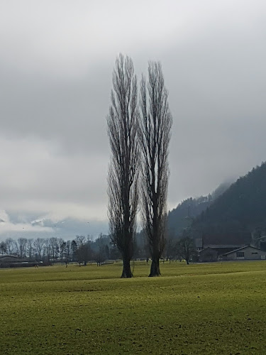 Hauptstrasse 49, 9477 Trübbach, Schweiz