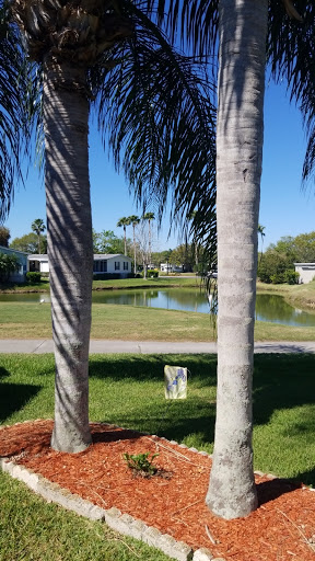 Golf Club «Hamptons Golf Club», reviews and photos, 900 Southampton Blvd, Auburndale, FL 33823, USA