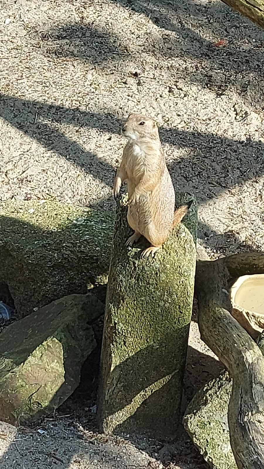 Photo n° 3 de l'avis de EG7. fait le 29/05/2023 à 10:08