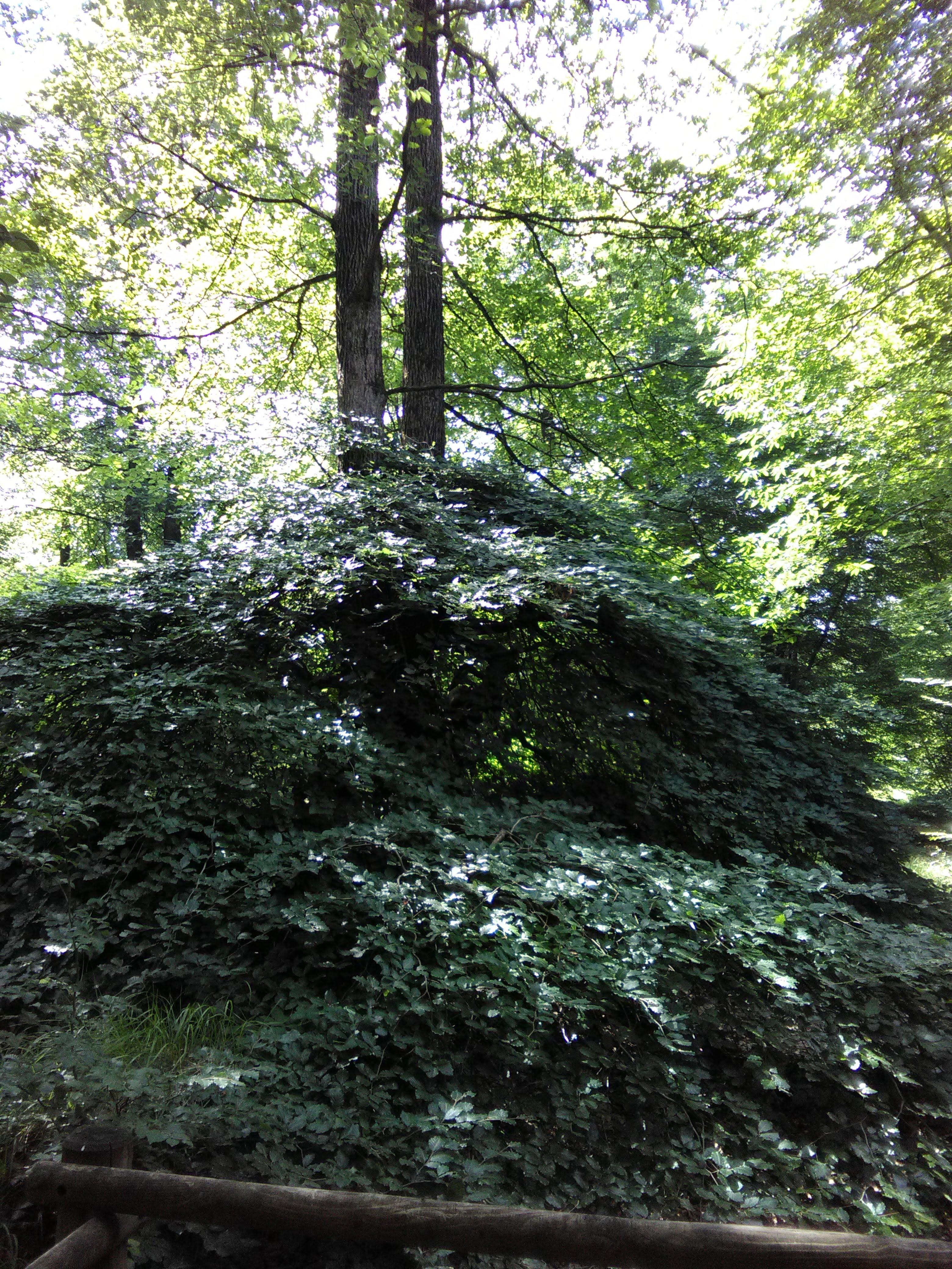 Photo n° 4 de l'avis de janiere.a fait le 11/07/2018 à 17:05