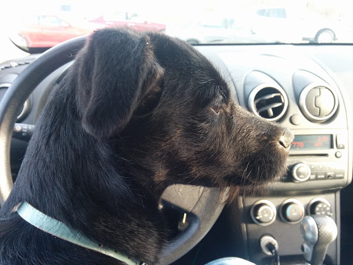 Home Improvement Store «The Home Depot», reviews and photos, 114 Federal Rd, Danbury, CT 06810, USA