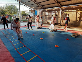 TaeKwonDo Moopalkwan Chile