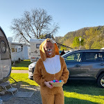 Photo n°1 de l'avis de Susanne.� fait le 19/04/2022 à 05:41 sur le  Campingplatz Bären-Camp **** und Restaurant Bären-Stube à Bullay