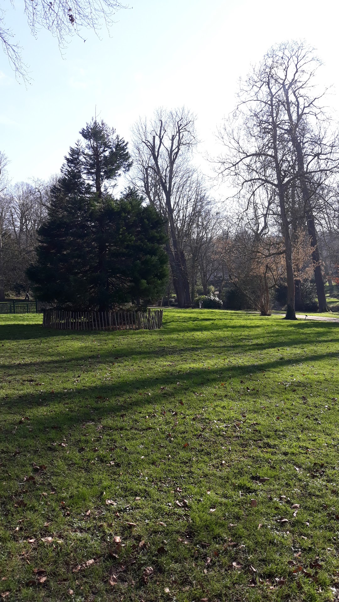 Photo n° 3 de l'avis de Slimane. fait le 18/02/2018 à 13:38