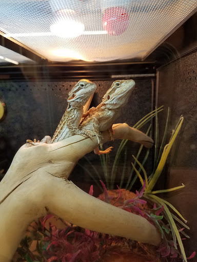 Pet Supply Store «PetSmart», reviews and photos, 790 Jefferson Rd #200, Rochester, NY 14623, USA